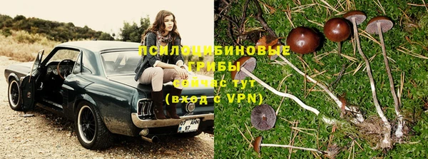ешки Новодвинск