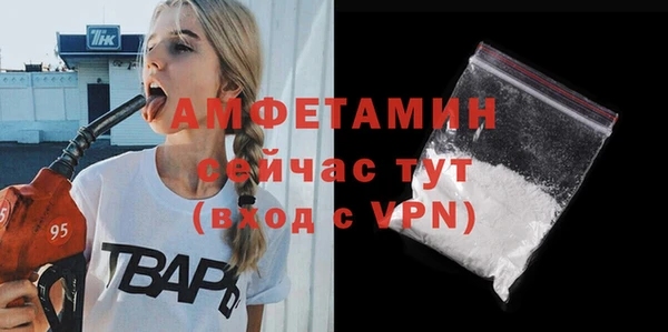 ешки Новодвинск
