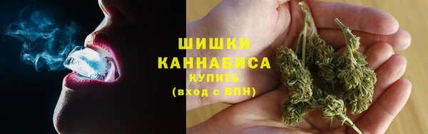 ешки Новодвинск