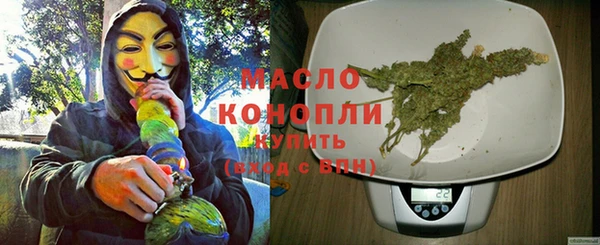 ешки Новодвинск