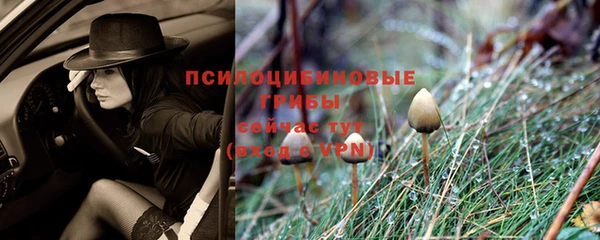кокаин перу Новозыбков