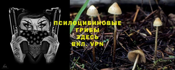 кокаин перу Новозыбков