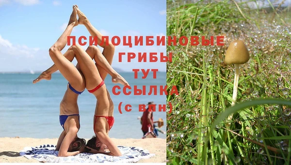 ешки Новодвинск