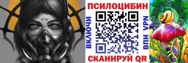 Купить где  Исилькуль  Псилоцибиновые грибы мицелий 